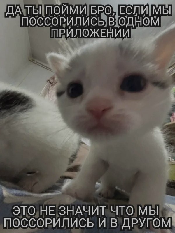 Ночная подборочка
Выходные, не спим