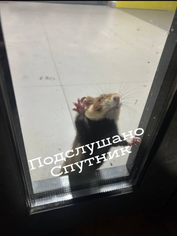 Зверь рвётся на волю!
