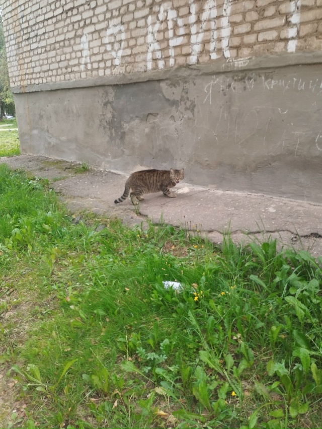 и этого мы с подругой 4-5 дней назад нашли на Комсомольс?...