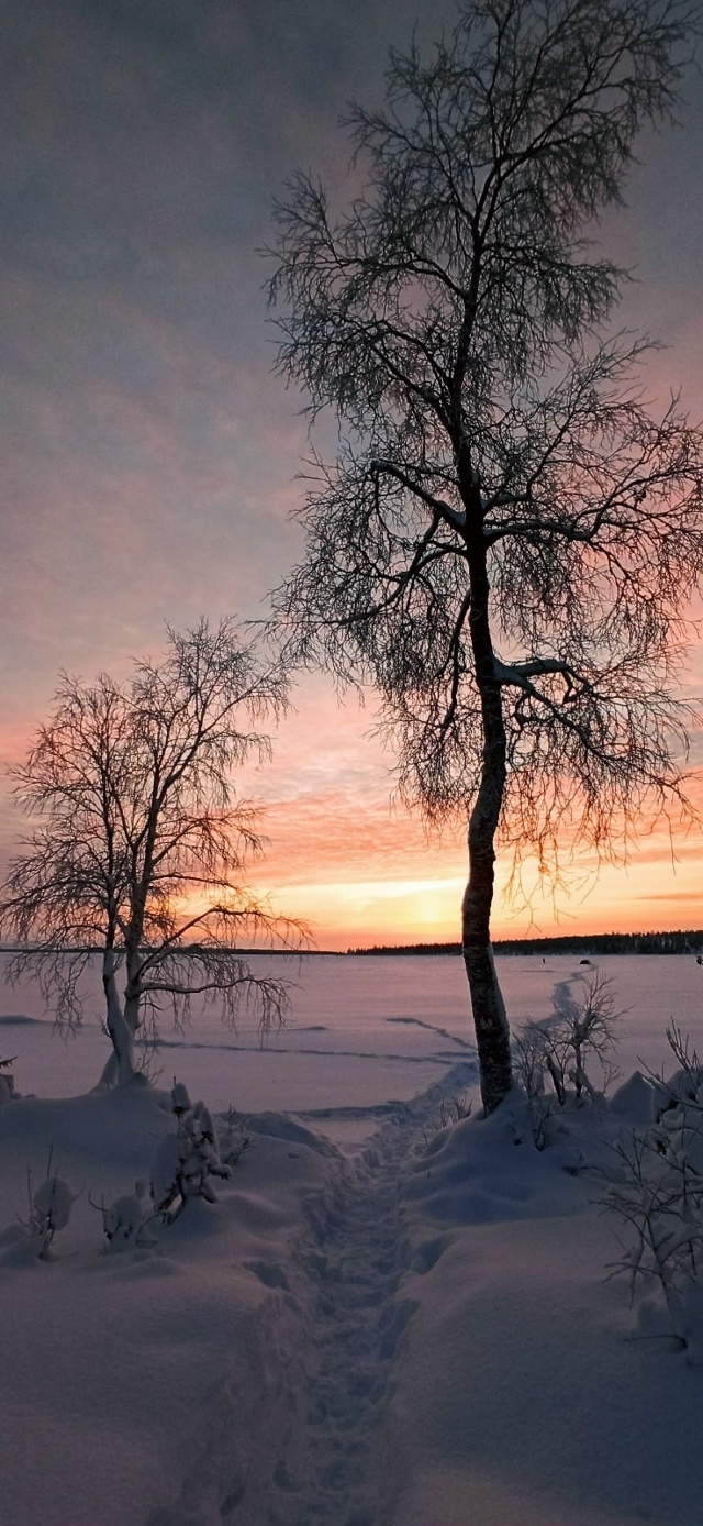 Дочки-матери.
оз. Имандра
📸Elen Shi