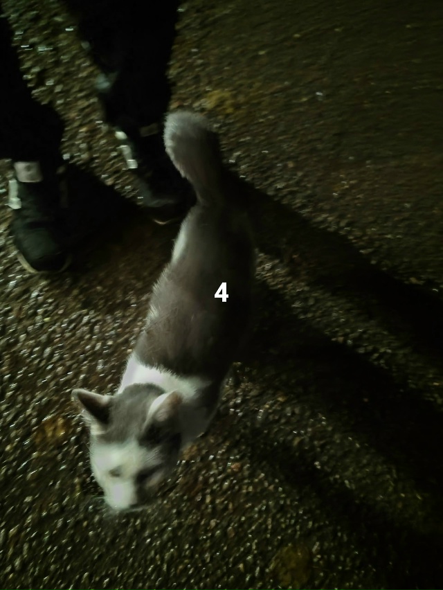 #ПотерялиНашлиПомогите
1 Утеряны ключи от машины райо...