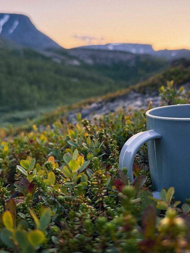 Летние Хибины 🏔️😍
Сейчас, в конце июля, стоит конкре...