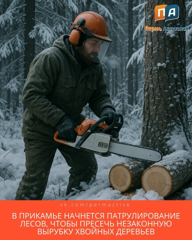 ? С 17 декабря в Прикамье начнутся патрулирование лесо...