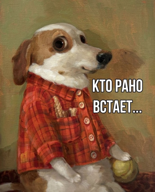 Это точно😅