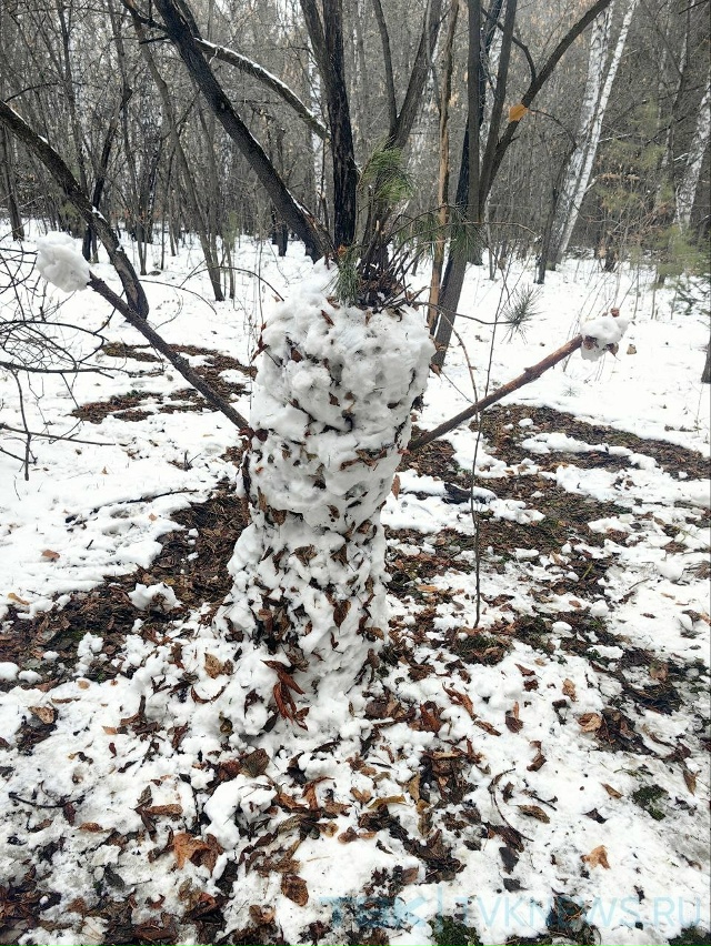 ☃️Парад снеговиков .
В эти дни снег такой липкий, поэ?...