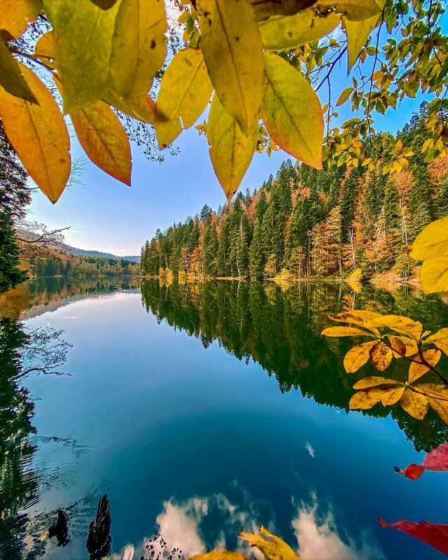Северная Осетия 🇷🇺