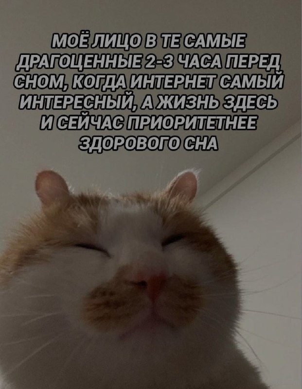 Ночная подборочка
Спать, режим