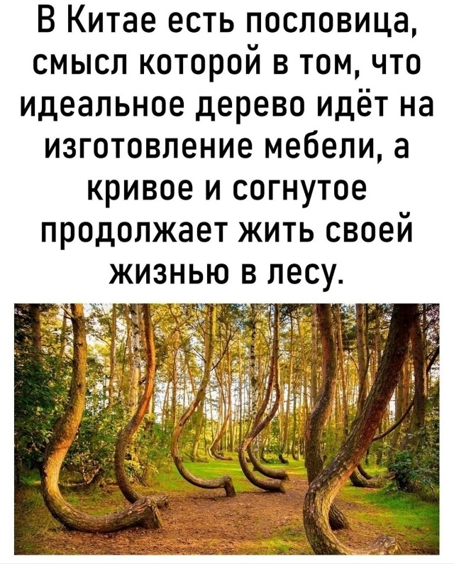 Наши особенности