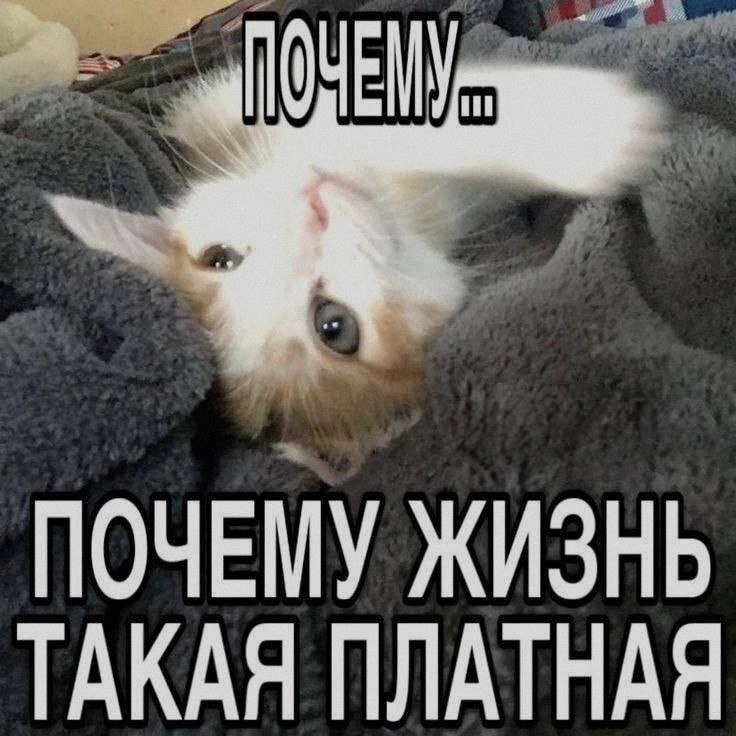 Ночная подборочка
Спать, режим