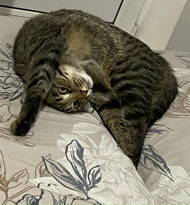 Наша ЛЮБОВЬ ЛЮБОВНАЯ🥰😻😽