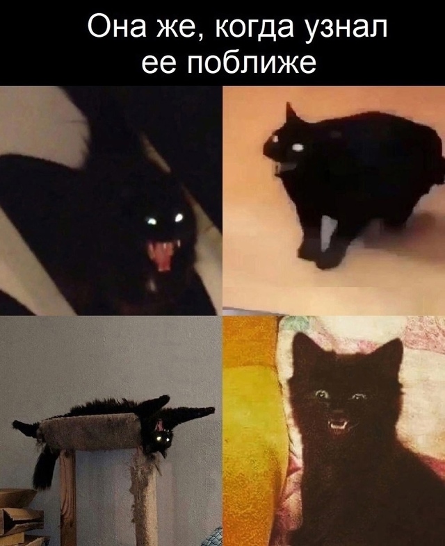 Подстава
