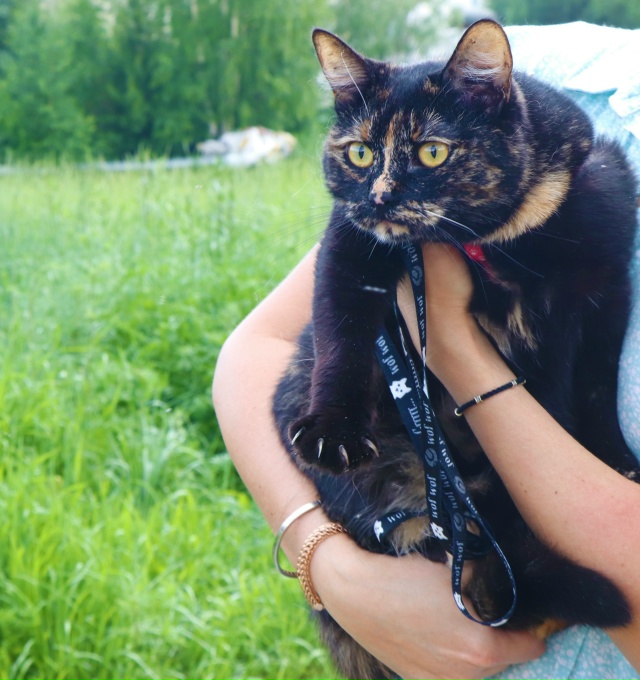 Очаровательная Мия очень ждет встречи со своей семьей?...