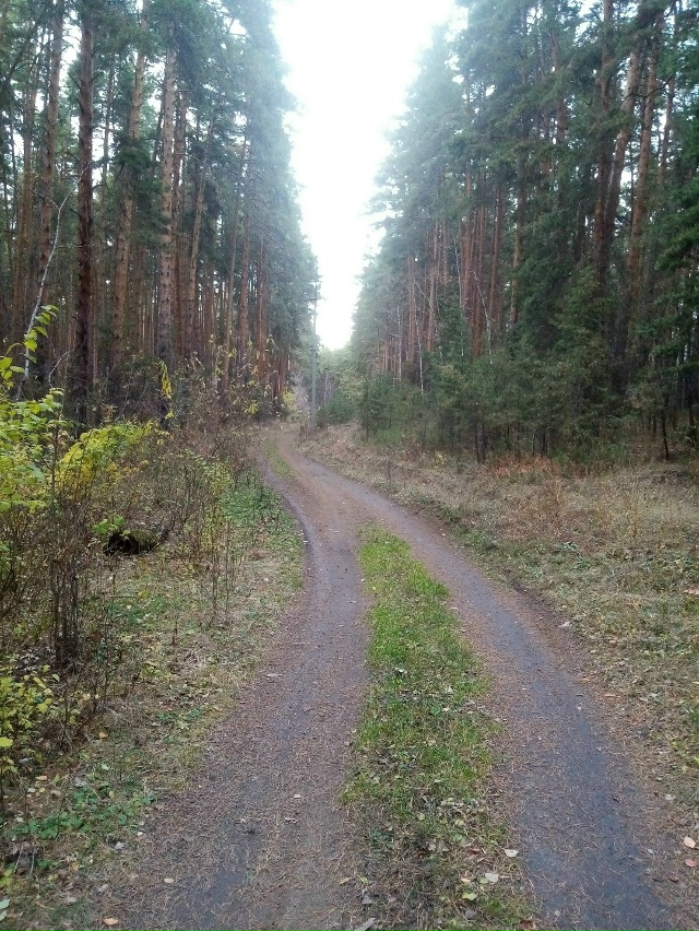 Немного позитива в ленту,.На снимках-осенняя прогулка ?...