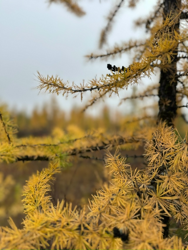 Привет Бузулук! Моя малая родина! Вот такая природа у н?...