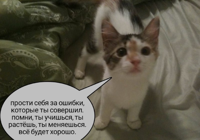 Ночная подборочка
Спать, режим