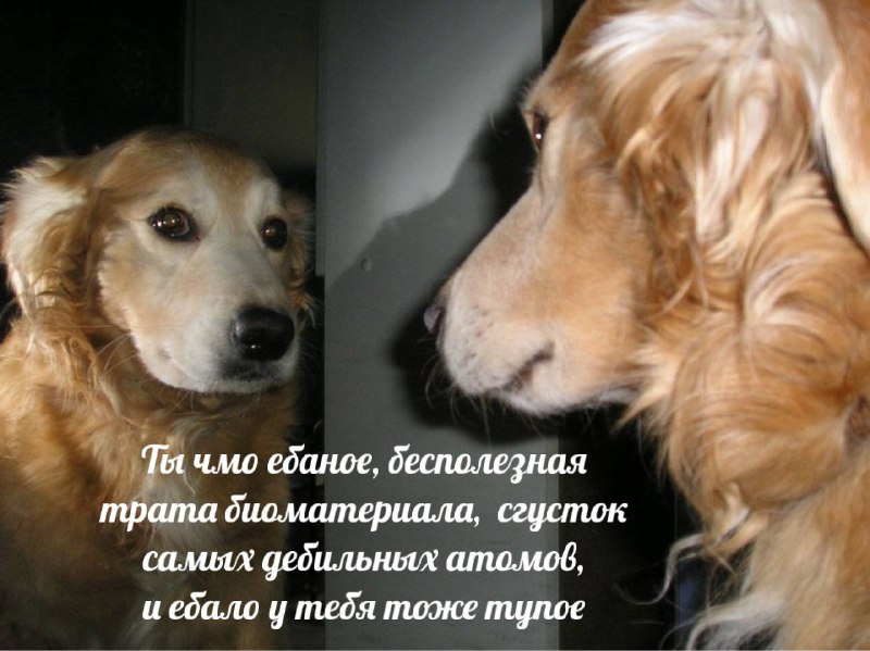 Как я себя ощущаю, когда не смогла за 10 минут усвоить какой-то навык, на изучение которого люди тра