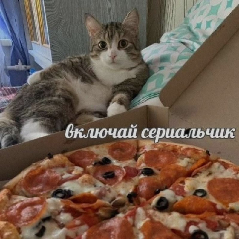 Ночная подборочка
Выходные, не спим