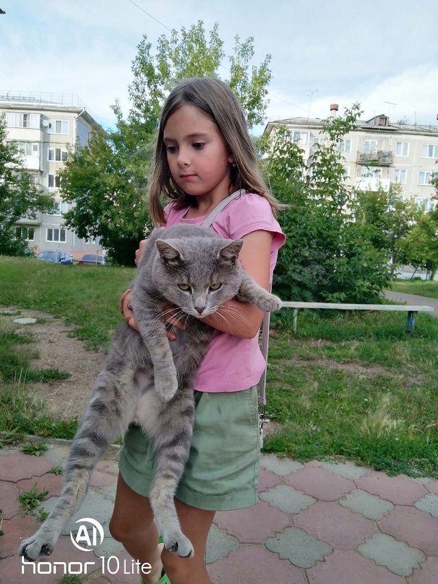 Чей котик? Хозяева отзовитесь.Площадка детская возле Ф...