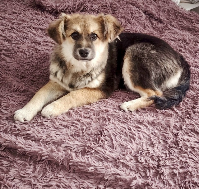 Самая плюшевая бусинка ищет своего человека! ❤️
Этот...