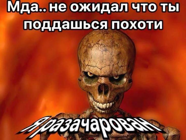 Эдвард со своим 100-летним либидо покойника, когда Бэлла в свой период подросткового буйства гормоно