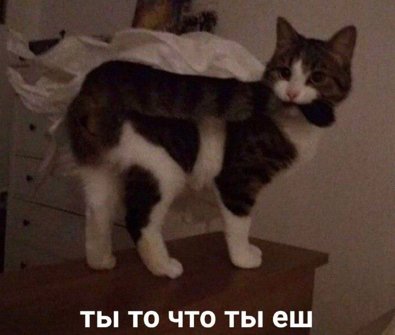 Утренняя подборочка