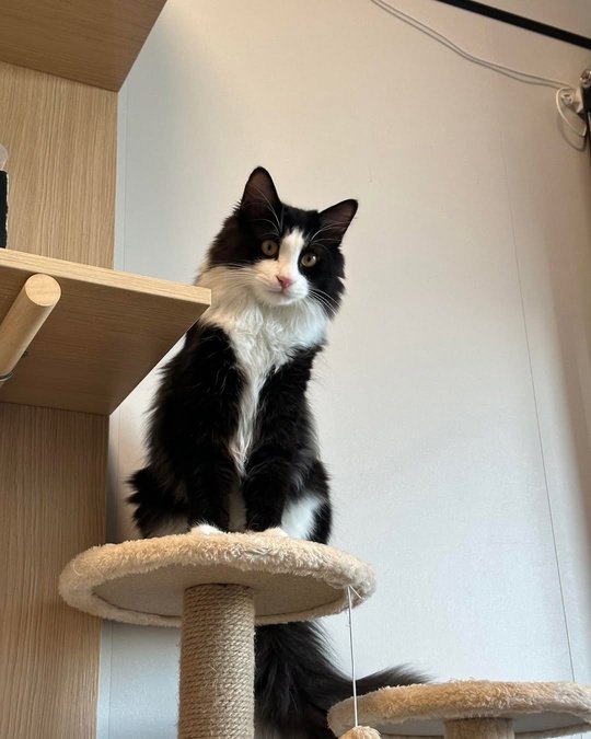 Как изменился малыш, которого я подобрал на улице… 🥺??...