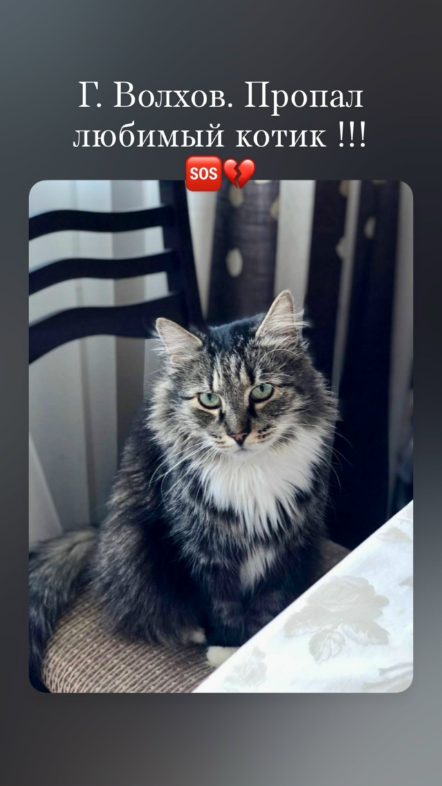 Пропал наш любимый котик в районе Расстанной💔💔💔
Мы ...