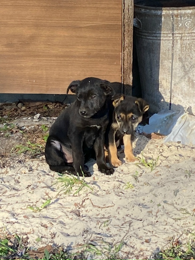 Огромная просьба распространить информацию и может сп...