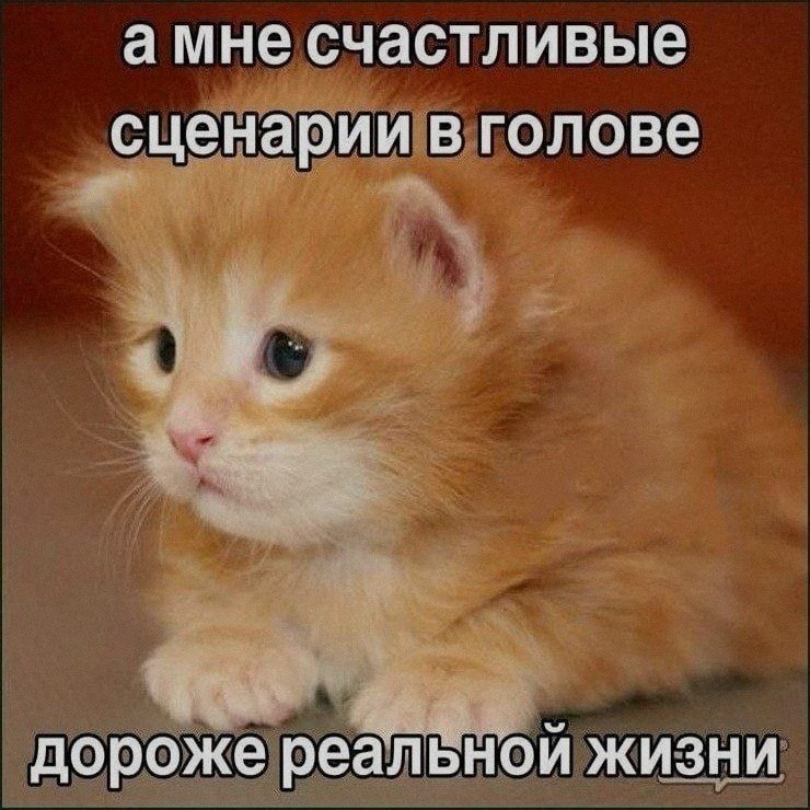 Ночная подборочка
Спать, режим