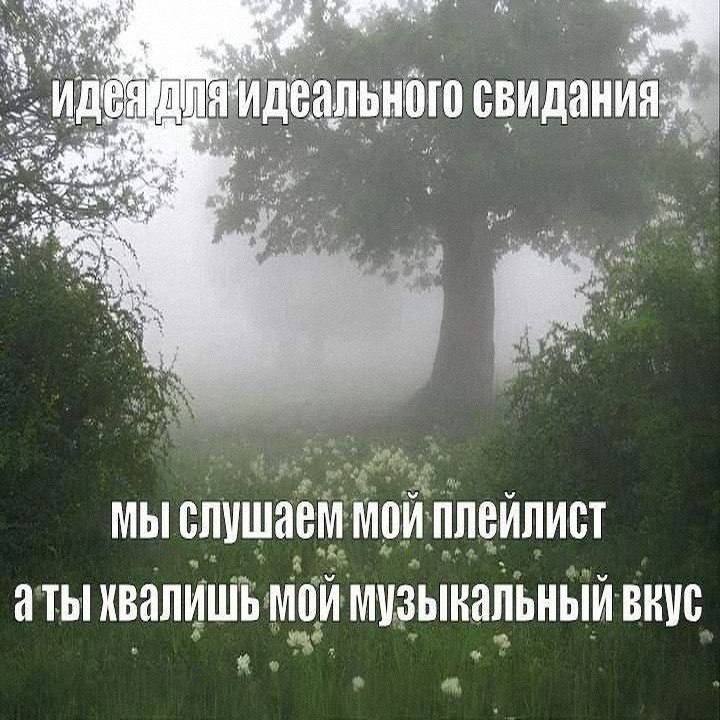 Утренняя подборочка