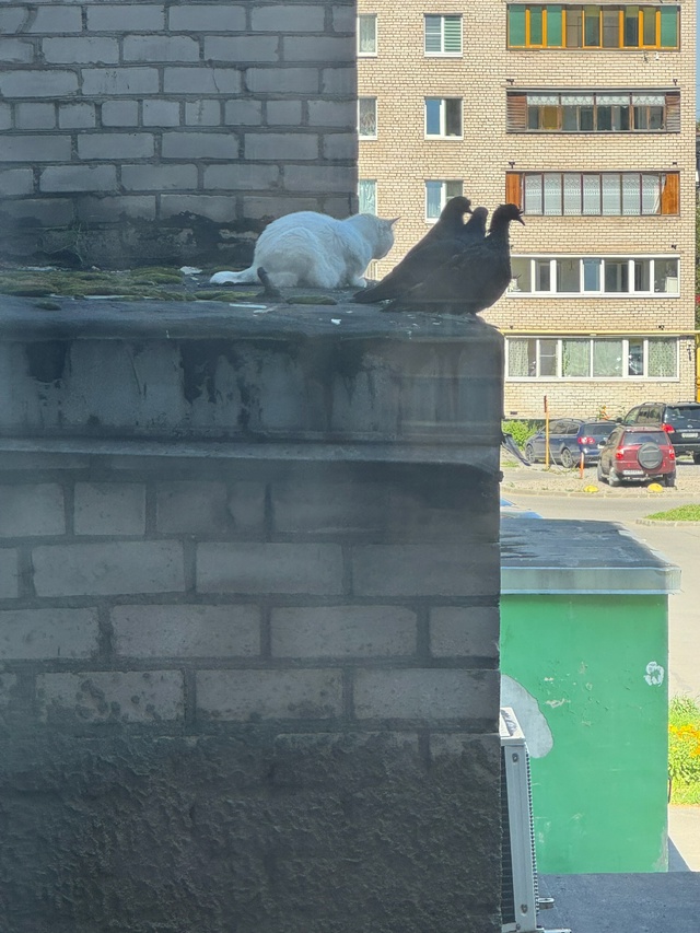 В тесноте но не на жаре 🤣