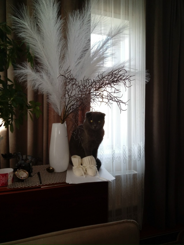 С.КРАСНОУСОЛЬСКИЙ. ФРУНЗЕ 77, ЧАС.ДОМ. БАНЯ ВОДА, САН.УЗЕ?...