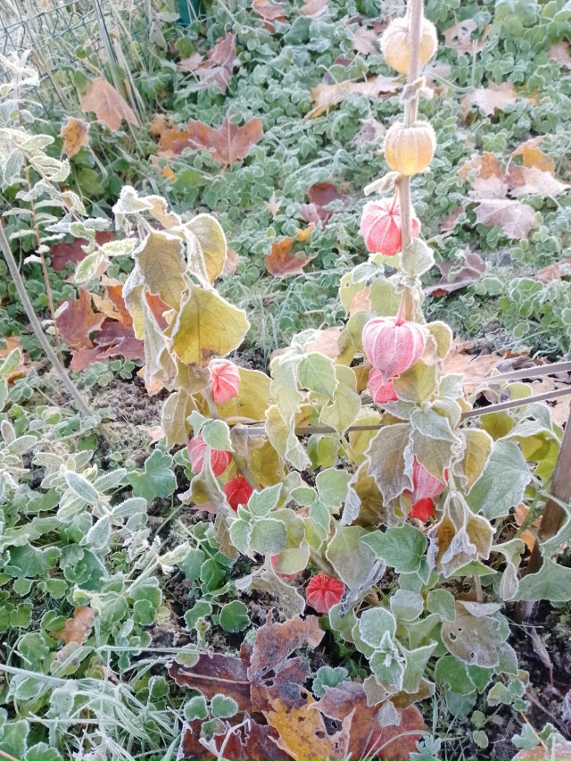 Нас утро встречает прохладой