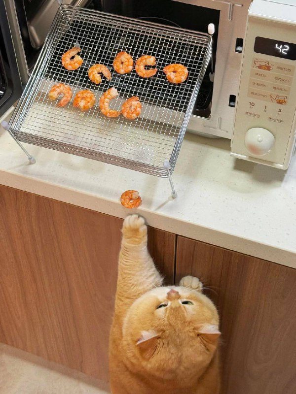 Кража креветковых