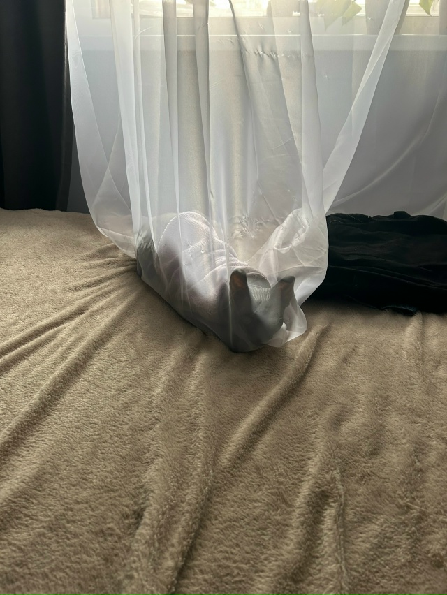 Немножко доволен, немножко не доволен🤣