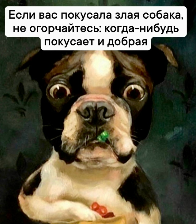 Сборник визуальной философской мудрости😅