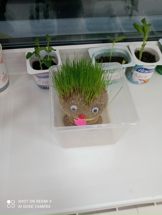 ?Маленькие исследователи: проект «Агрономия» в дейст...