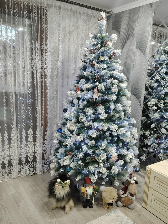 У всех уже стоит елка??
делитесь фотографиями в коммен?...