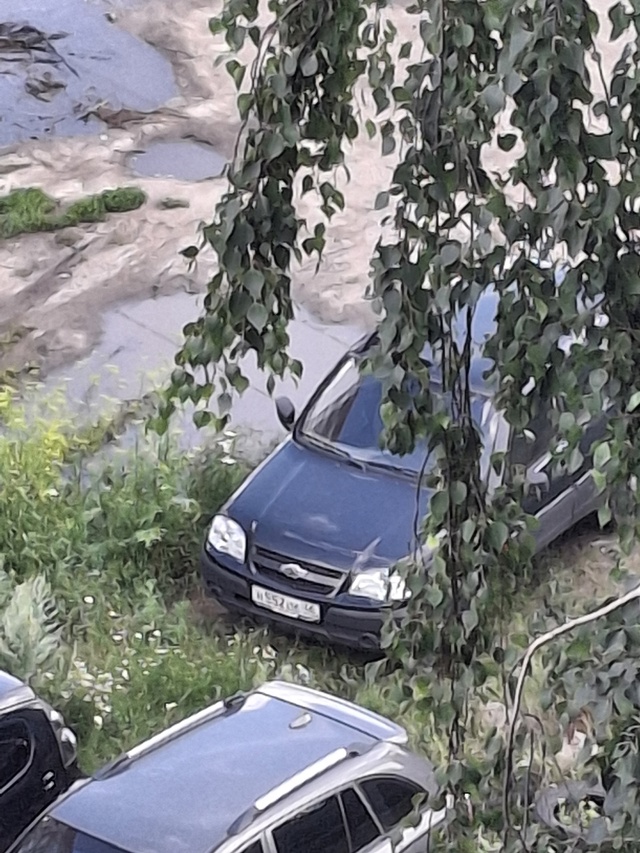 Вторые сутки работает сигнализация у данного авто, во ?...