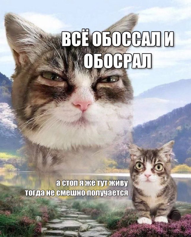 Утренняя подборочка