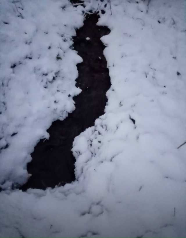 Сегодня на перекрестке ул. Володарского и ул. Энергети?...