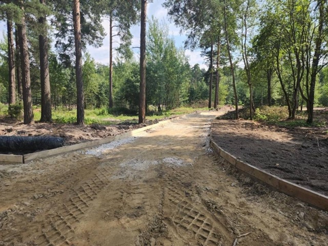 В Парковском лесу Орехово-Зуева проведут благоустройс...