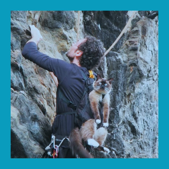 Пять привычек россиян, которые за границей могут стоит...