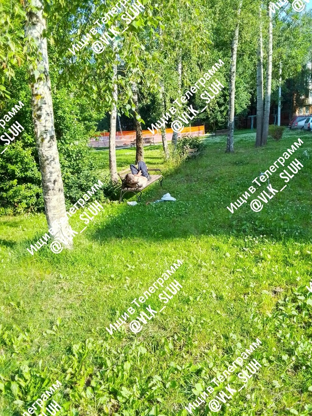 С добрым утром, Господа.