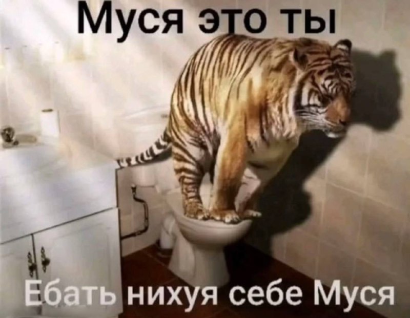 Мой мужик через 2 месяца, когда я перестала притворяться девочкой-конфеткой, начала материться, подъ