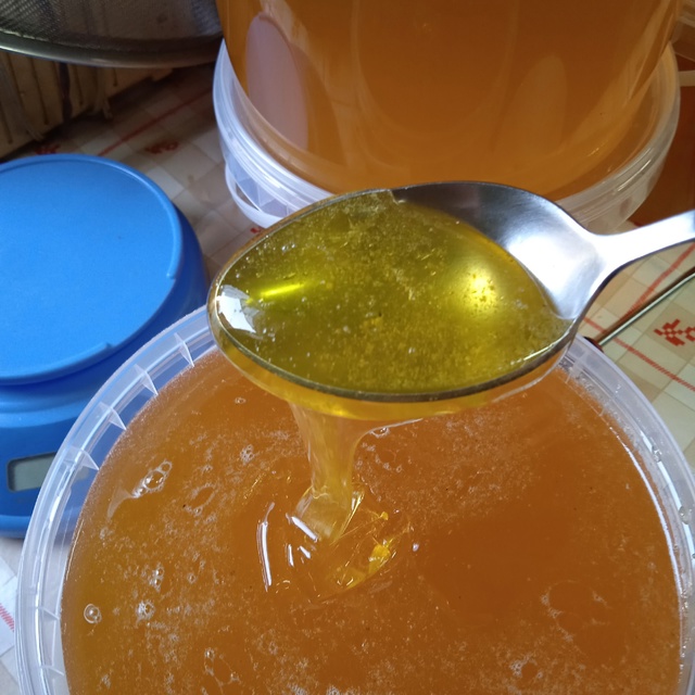 Продам мёд. Разнотравье. Очень вкусный. Звонить по номе...