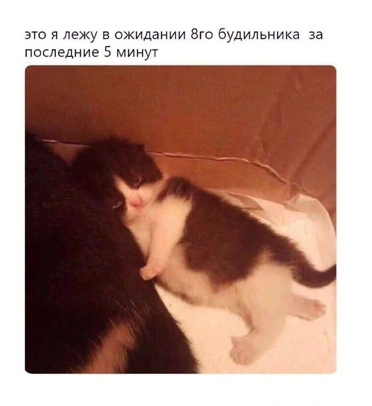 я