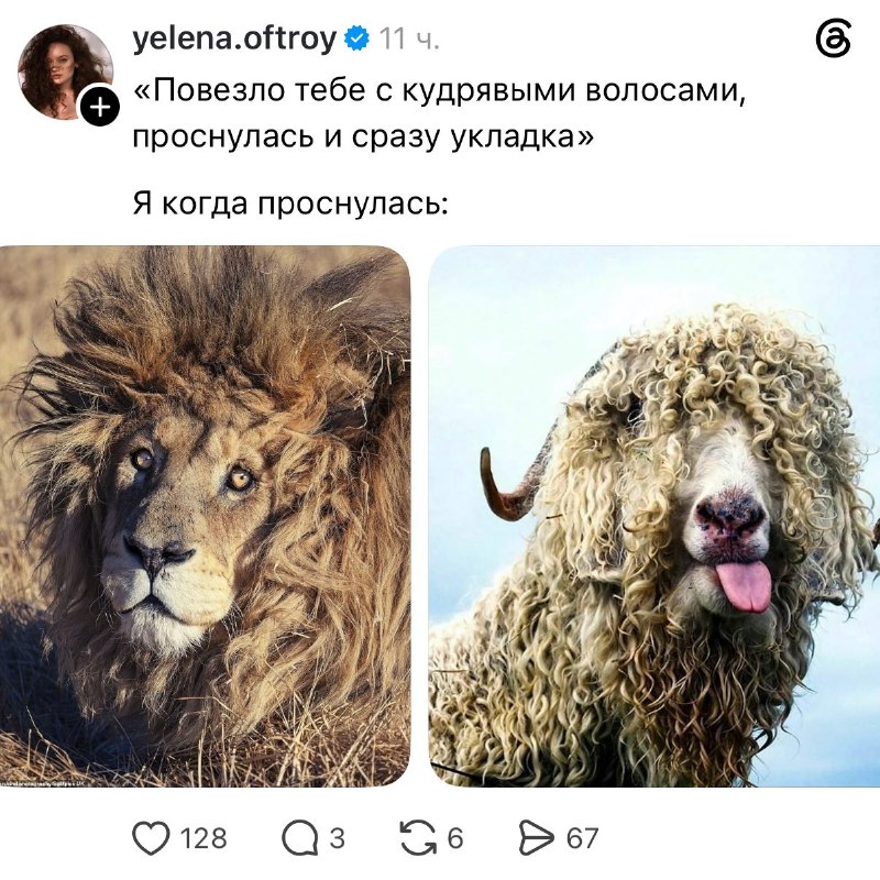 Девочки, кто из вас? 😱