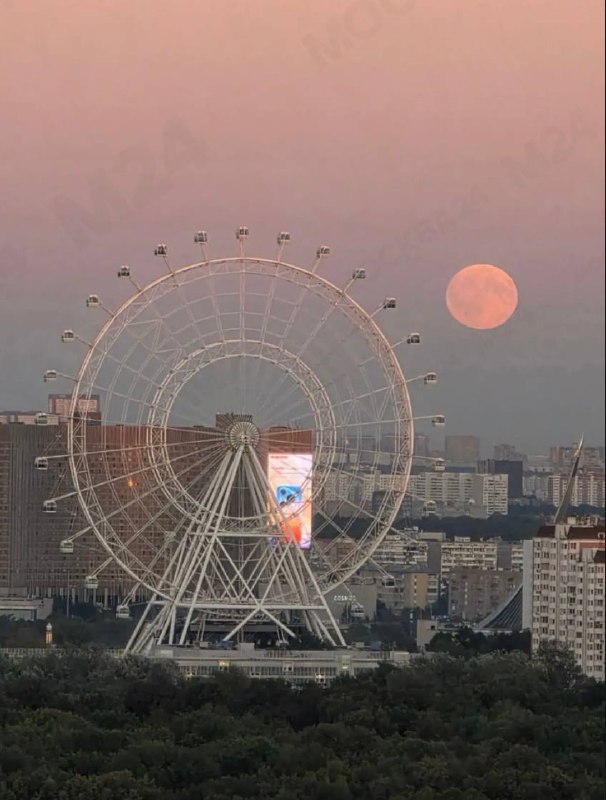 Лепота: над Москвой взошла гигантская «Осетровая луна» 😍
Сегодня последнее полнолуние лета, которое