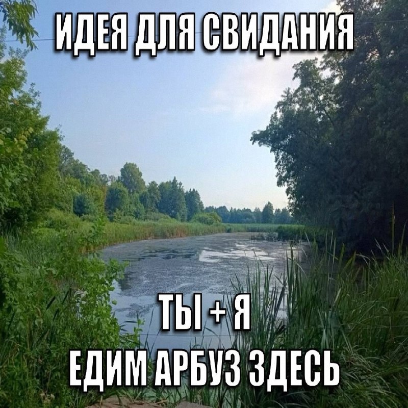 Утренняя подборочка